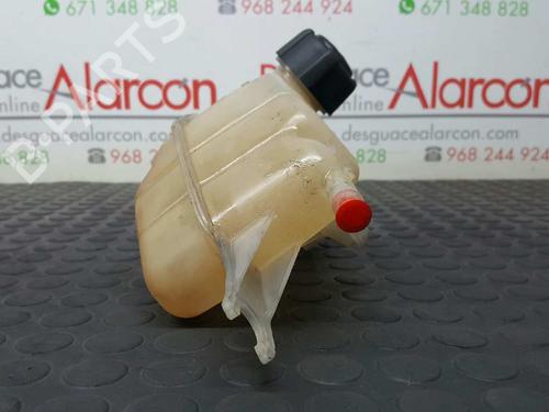 Expansion tank RENAULT CLIO III (BR0/1, CR0/1) 1.5 dCi | BP2769965C120 