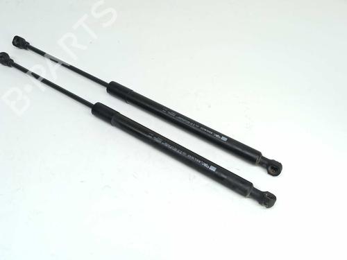 Tailgate lift support RENAULT CLIO IV (BH_) 1.5 dCi 75 | BP14538220C138 