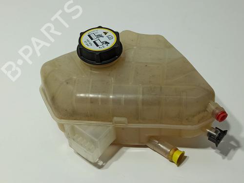 Ekspansjonstank Ekspansjonstank FORD FIESTA VI (CB1, CCN) [2008-2026] 36805385 36805385