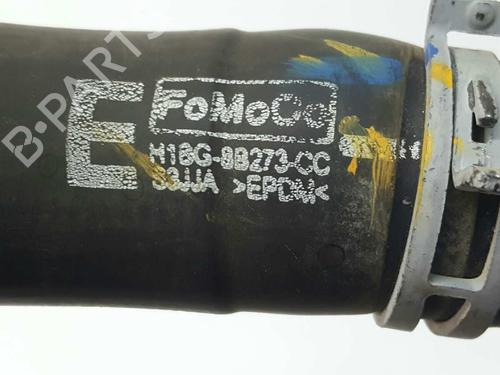 Pipe FORD FIESTA VII (HJ, HF) 1.0 EcoBoost | BP14535837M125 