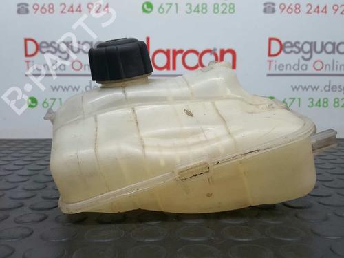Expansion tank RENAULT MEGANE III Hatchback (BZ0/1_, B3_) 1.5 dCi | BP2742958C120