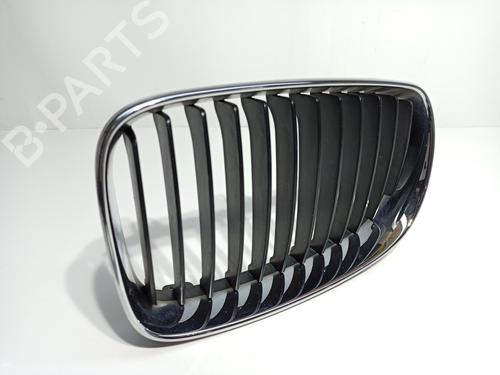 Grille BMW 1 (E87)  | BP16755294C40 