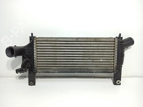 Used Intercooler NISSAN PATHFINDER III (R51) 2.5 dCi (174 hp) 19785426