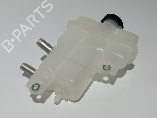 Expansion tank TOYOTA RAV 4 V (_A5_, _H5_) 2.5 Hybrid AWD (AXAH54) | BP16438137C120