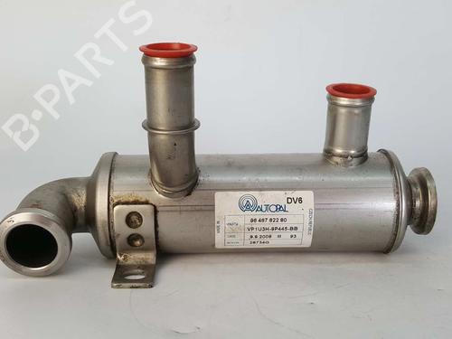 Egr PEUGEOT PARTNER Box Body/MPV 1.6 HDi (109 hp) 14542483