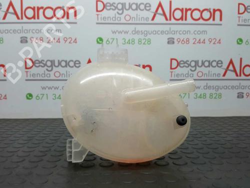 Expansion tank FORD FIESTA VII (HJ, HF) 1.0 EcoBoost | BP2771724C120