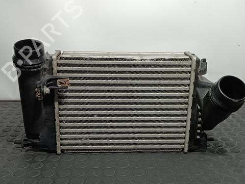 Used Intercooler NISSAN X-TRAIL III (T32_, T32R, T32RR) 1.6 dCi (T32) (130 hp) 15087399