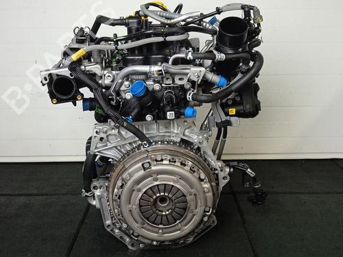 Engine DACIA SANDERO III 1.0 TCe 100 ECO-G | BP12176695M1 