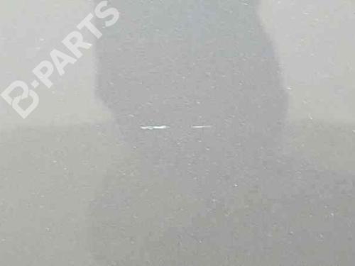 Right rear door LANCIA DELTA III (844_) 1.6 D Multijet (844.AXP1A) | BP4653124C5 