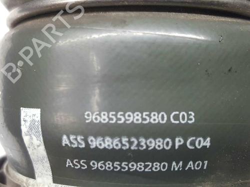 Pipe CITROËN C3 Picasso (SH_) 1.6 HDI 90 | BP14533426M125