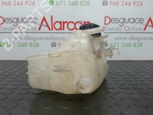 Interior roof light RENAULT MEGANE III Hatchback (BZ0/1_, B3_) 1.5 dCi (BZ1G, BZ1W, BZ0R) | BP11386834I8 