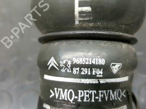 Pipe CITROËN BERLINGO MULTISPACE (B9) 1.6 HDi 75 16V | BP14530679M125 