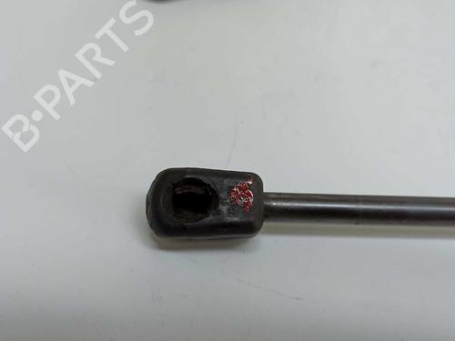 Tailgate lift support RENAULT MEGANE III Coupe (DZ0/1_) 1.6 16V (DZ0U, DZ1B, DZ1H) | BP14540156C138