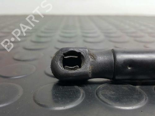 Hood lift support VW EOS (1F7, 1F8) 2.0 TDI | BP14532169C139 