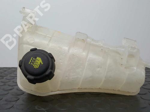 Expansion tank RENAULT KANGOO Express (FW0/1_)  | BP2770344C120 