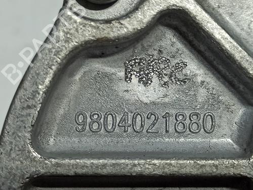 Vacuum pump PEUGEOT 308 SW II (LC_, LJ_, LR_, LX_, L4_) 2.0 BlueHDi 150 | BP10181646M80