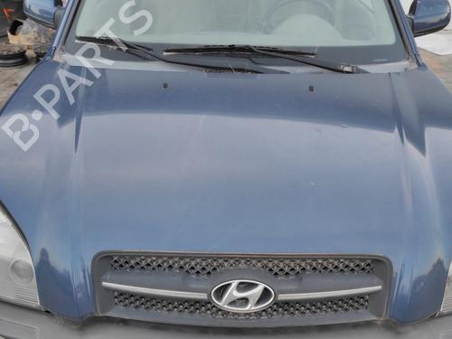 Used Hood HYUNDAI TUCSON (JM) 2.0 All-wheel Drive (141 hp) 23953748