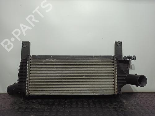 Used Intercooler NISSAN PATHFINDER III (R51) 2.5 dCi (174 hp) 13688444