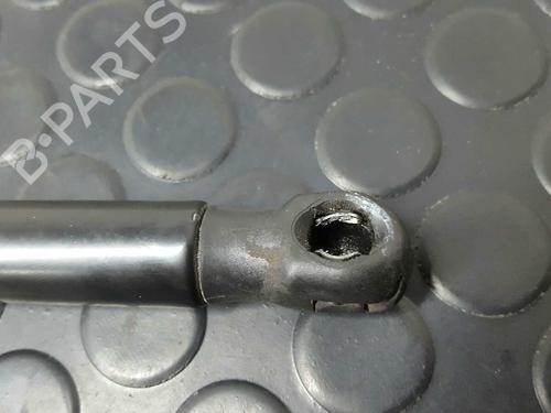 Hood lift support VW PASSAT B6 (3C2)  | BP14527142C139 