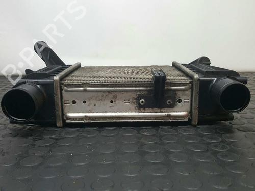Intercooler RENAULT CLIO III (BR0/1, CR0/1) 1.5 dCi (BR17, CR17) | BP9107841M30 