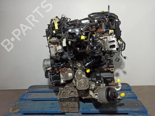 Engine FORD RANGER (TKE) | BP32468536M1 - Image 3