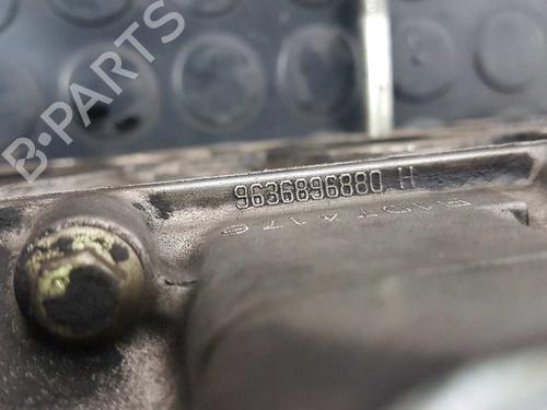 Cylinder head FORD FIESTA V (JH_, JD_) 1.4 TDCi | BP10977636M5