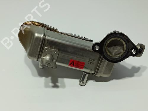 Egr NISSAN X-TRAIL III (T32_, T32R, T32RR) 1.6 dCi (T32) | BP17761933M69 