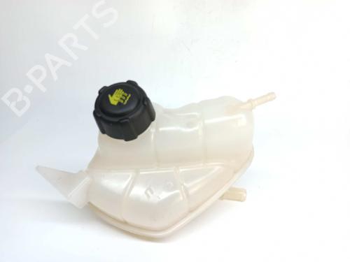Expansion tank RENAULT KADJAR (HA_, HL_) 1.5 dCi 110 (HLA3) | BP8926365C120 