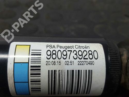 Left rear shock absorber CITROËN C4 CACTUS 1.6 BlueHDi 100 | BP2733620M18 
