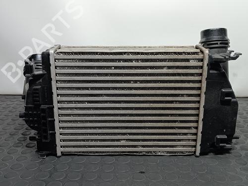 Intercooler NISSAN X-TRAIL III (T32_, T32R, T32RR) 1.6 dCi (T32) | BP15087399M30