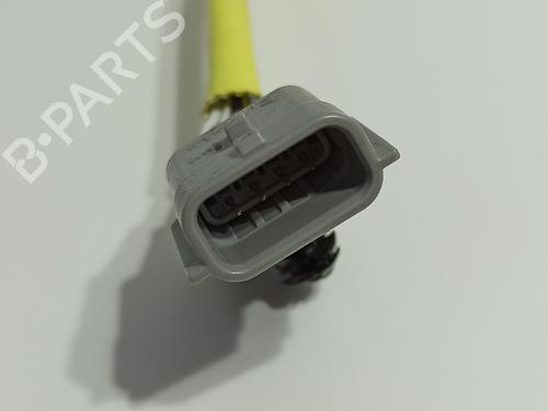 Electronic sensor NISSAN JUKE (F16_) 1.0 | BP29848412M84 