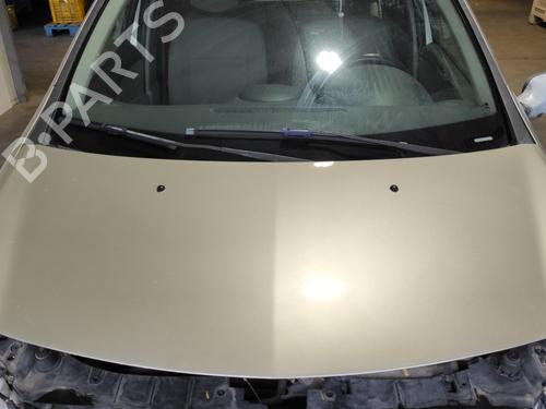 Used Hood RENAULT CLIO III (BR0/1, CR0/1) 1.5 dCi (BR17, CR17) (86 hp) 24018655