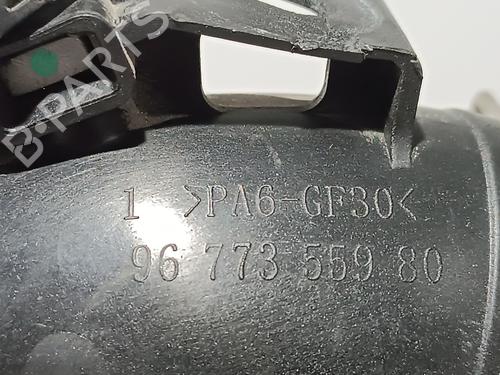 Pipe CITROËN C3 III (SX) 1.2 THP 110 (SXHNPS, SXHNZT, SXHNZ6) | BP27489935M125