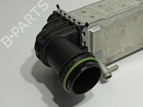 Intercooler SKODA SCALA (NW1) 1.0 TSI | BP31807667M30