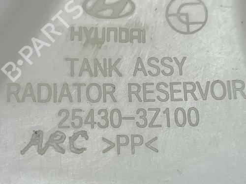 Expansion tank HYUNDAI i40 I (VF) 1.7 CRDi | BP15541951C120