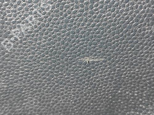 Rear right panel FORD FIESTA VI (CB1, CCN) 1.4 TDCi | BP33117657C61 - Image 3