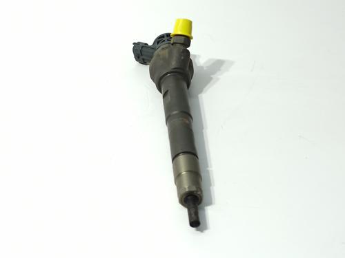 Injector LAND ROVER RANGE ROVER EVOQUE (L538) 2.0 D | BP23099730M100 
