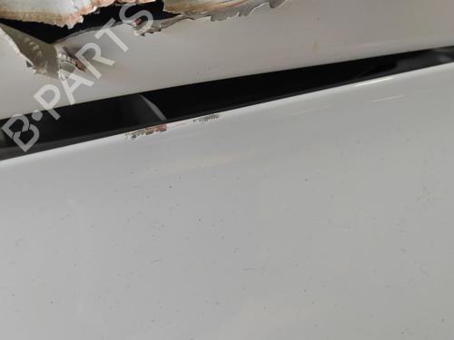 Forskærm venstre RENAULT CLIO V (B7_) 1.0 LPG (B7MT) | BP36432956C41 - Image 3