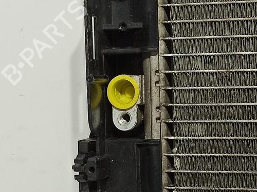 AC radiator MERCEDES-BENZ C-CLASS (W204) C 220 CDI (204.008) | BP27530610M32