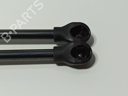 Tailgate lift support RENAULT CAPTUR II (HF_)  | BP23953666C138 