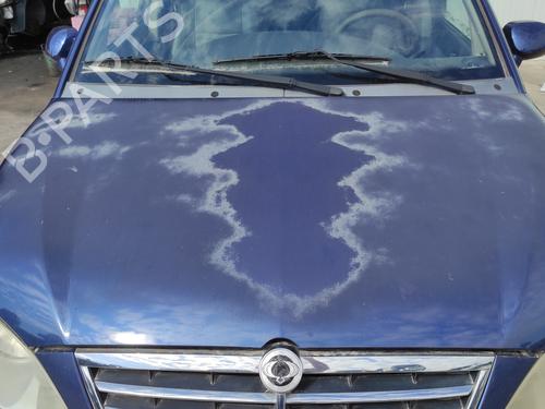 hood-ssangyong-rodius-i-2005-25830046 main image