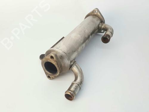 Egr HYUNDAI SANTA FÉ II (CM)  | BP14538066M69 