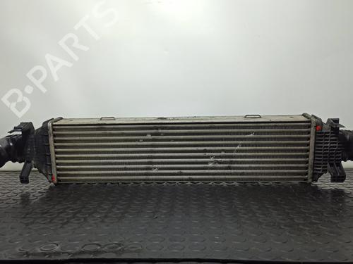 Used Intercooler MERCEDES-BENZ E-CLASS (W212) E 220 CDI / BlueTEC (212.001, 212.002) (170 hp) 12578349