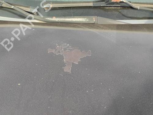 Hood HYUNDAI SANTA FÉ II (CM) 2.2 CRDi GLS | BP26590961C1