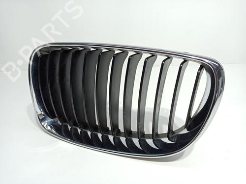 Grille BMW 1 (E87)  | BP16755294C40 