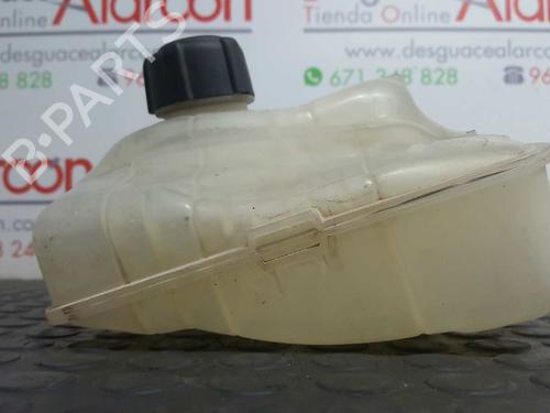 Ausgleichsbehälter für RENAULT MEGANE III Hatchback (BZ0/1_, B3_) 1.6 16V (BZ1B, BZ1H) (110 hp) 2770067