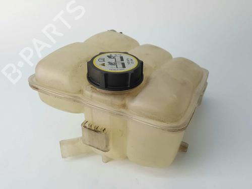 Expansion tank FORD C-MAX II (DXA/CB7, DXA/CEU) 1.6 TDCi | BP6247070C120