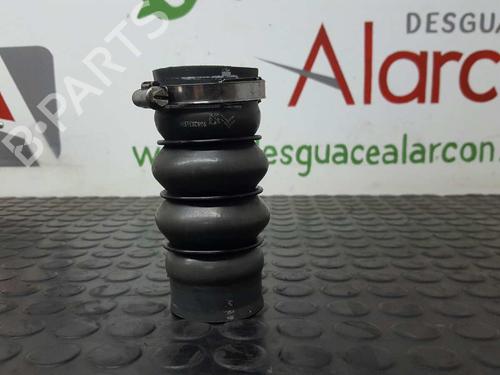 Pipe PEUGEOT 207 (WA_, WC_) 1.6 HDi | BP14527568M125