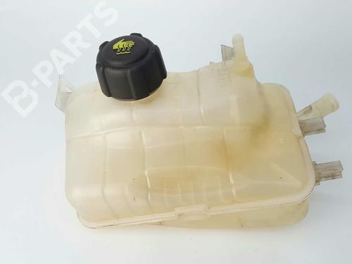 Expansion tank RENAULT MEGANE III Hatchback (BZ0/1_, B3_) 2.0 dCi (BZ0Y) | BP5862977C120 