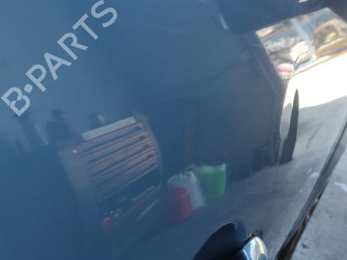 Right front door RENAULT SCÉNIC III (JZ0/1_) 1.5 dCi | BP20610367C3 